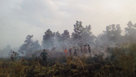 Akhirnya 7 Penyidik KLHK Dibebaskan Warga 